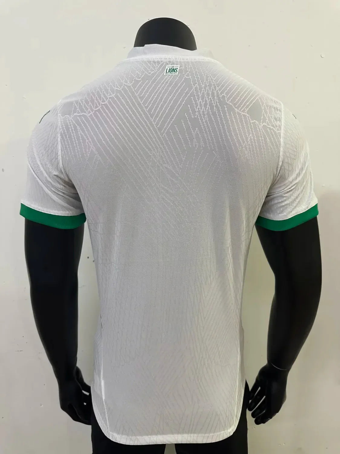 Sénégal Domicile 2024/2025 - Vêtements de sport