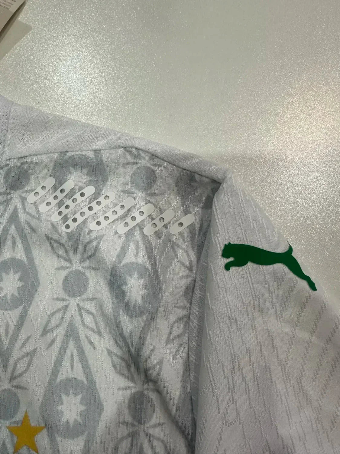 Sénégal Domicile 2024/2025 - Vêtements de sport