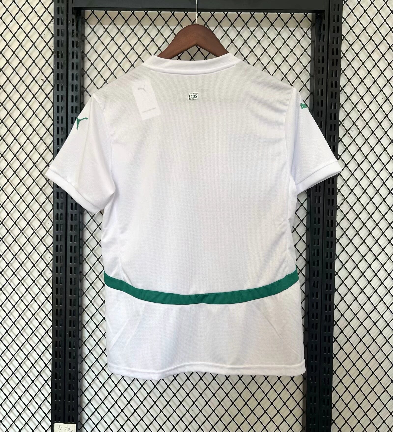 Sénégal Domicile 2025 - Vêtements de sport