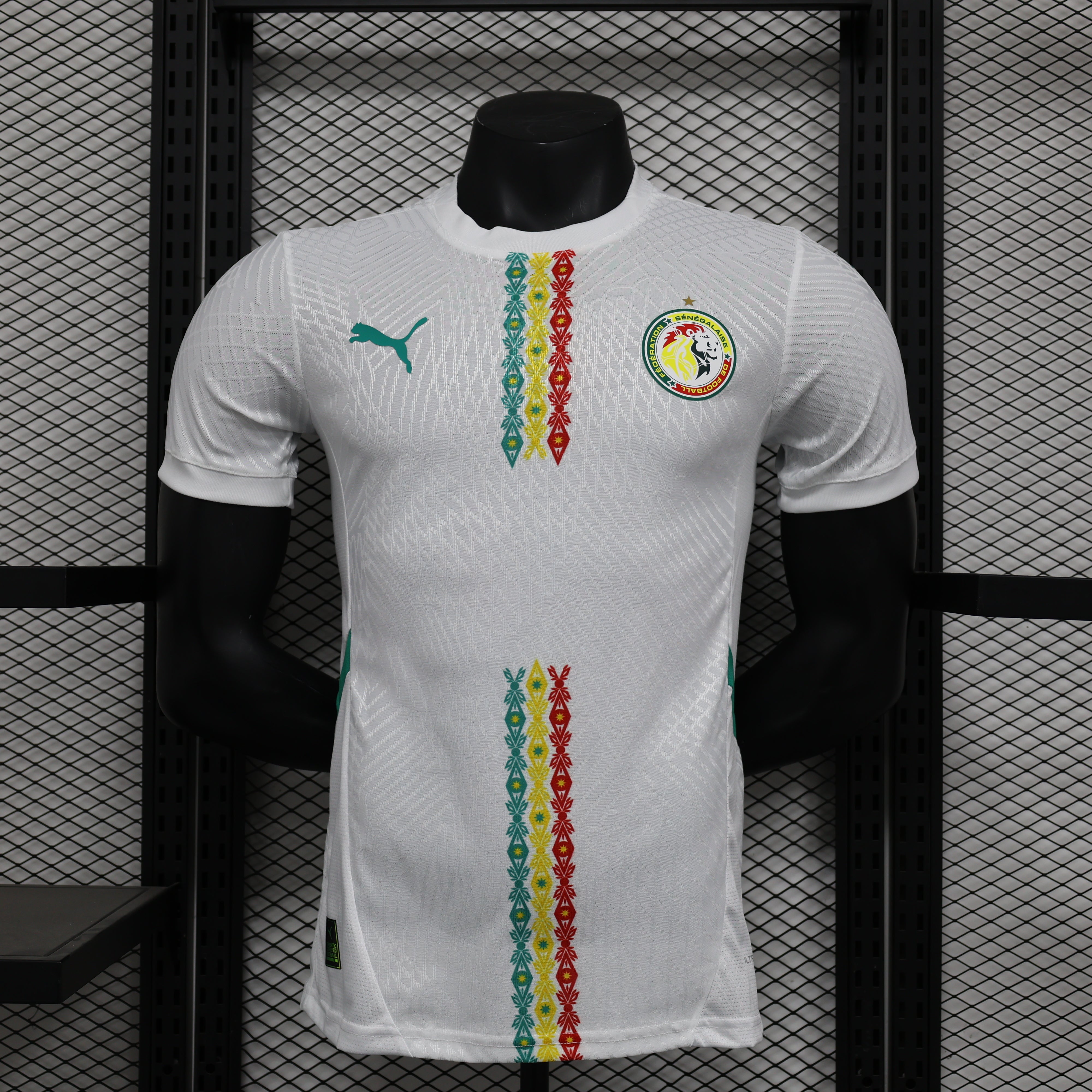 Sénégal Domicile 2025 - Vêtements de sport