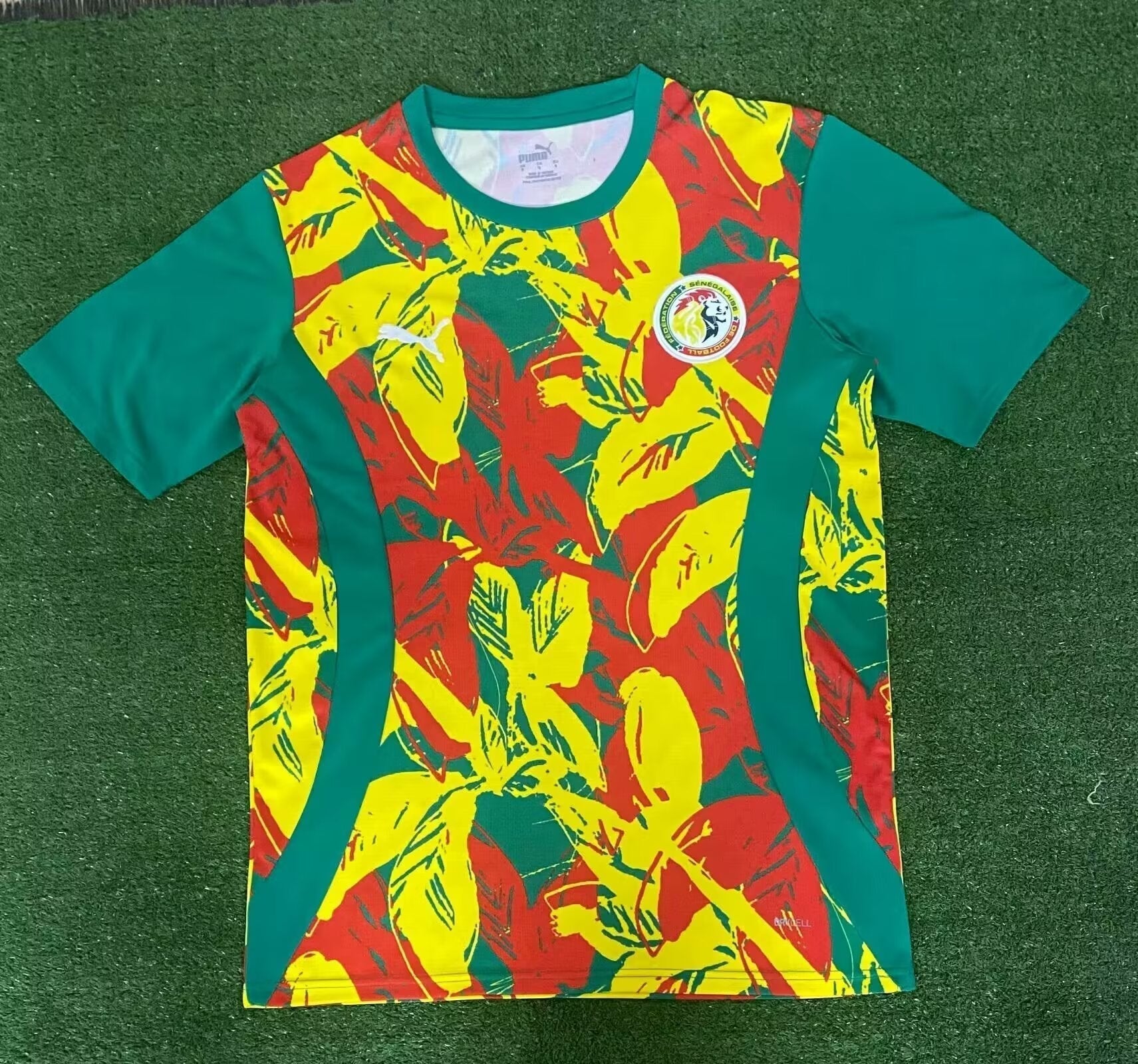 Sénégal Training 2024/2025 - Vêtements de sport